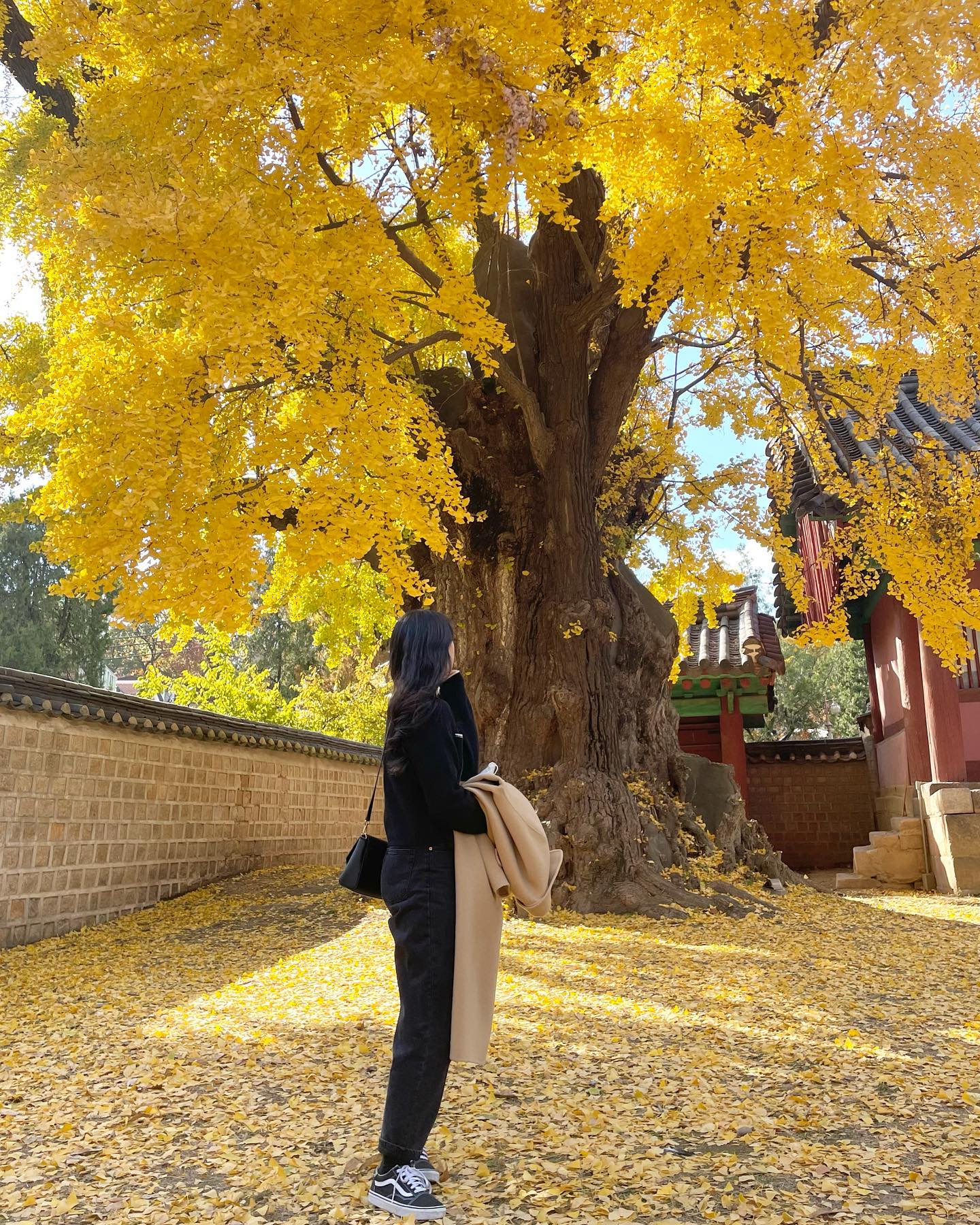 벌써 일 년 🥹🍂