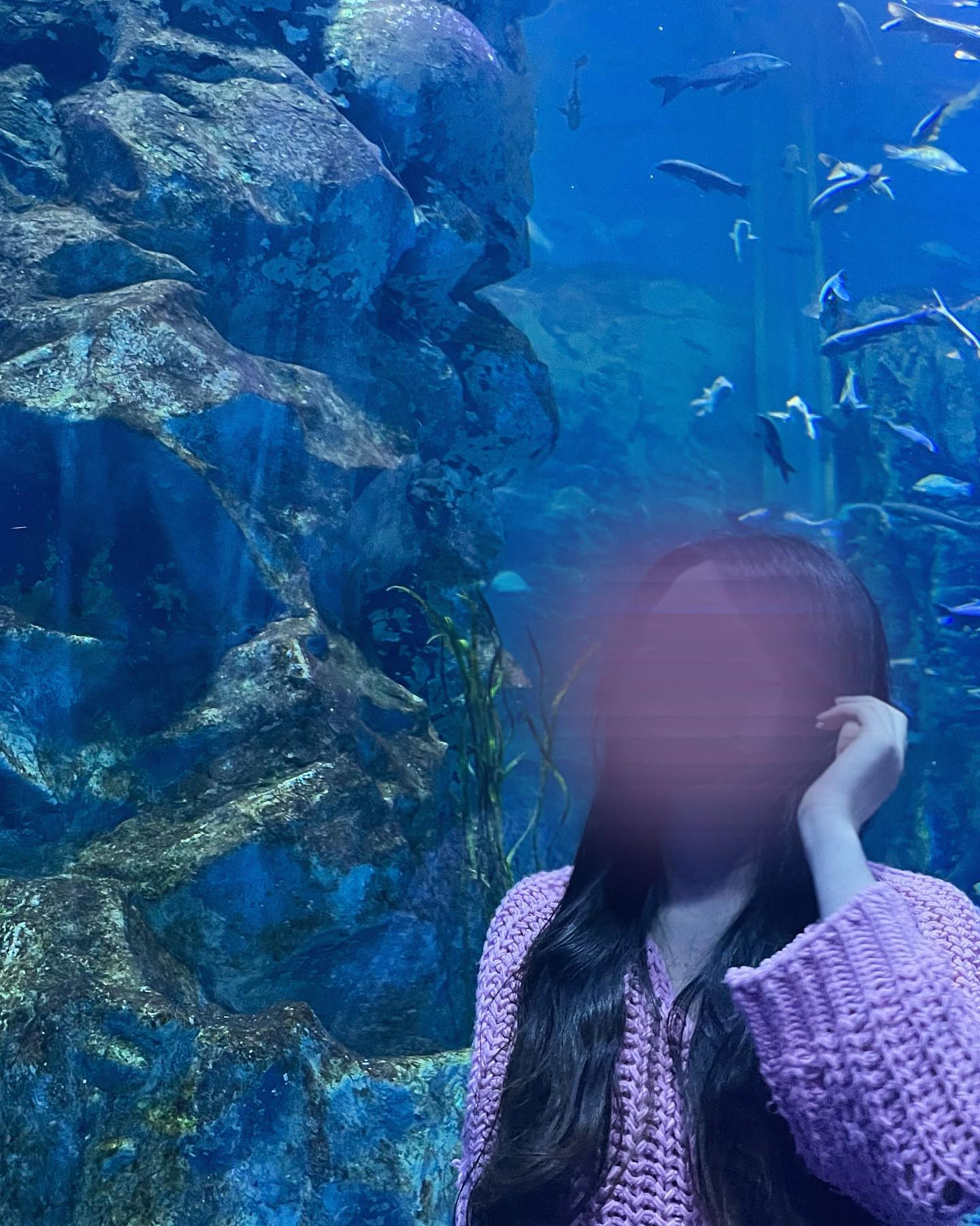 콘텐츠