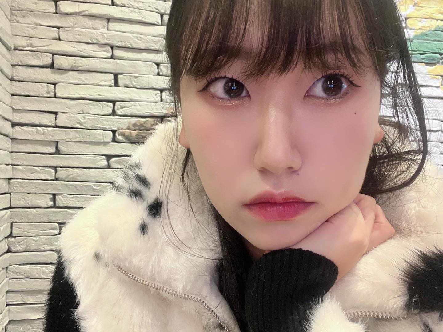 천방지축 어리둥절 빙글빙글 돌아가는 히오니의 하루하루