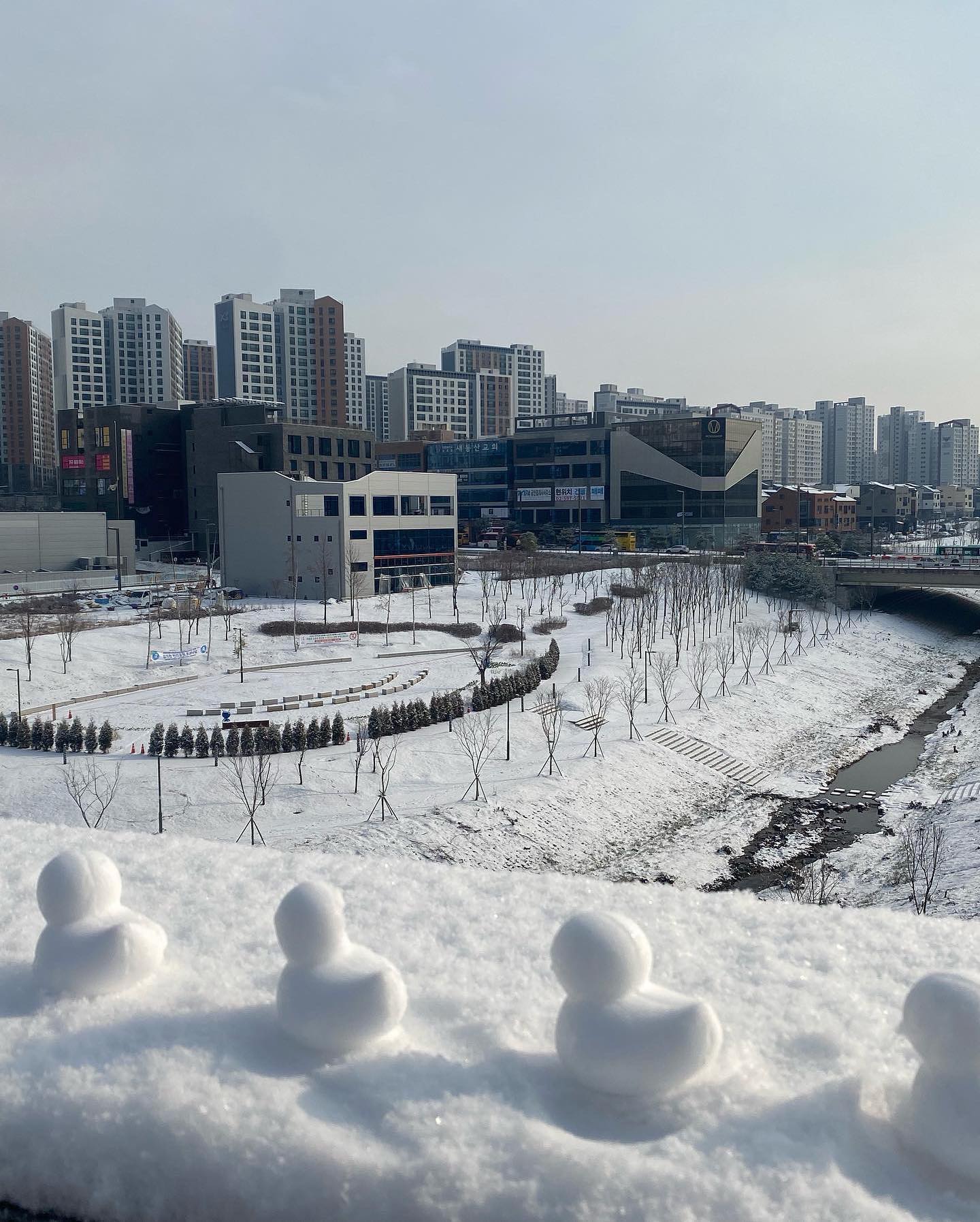 .
일어나 보니 겨울왕국이던 지난 주! 
마침 오빠 쉬는 날이라 주섬주섬 옷 껴입고 눈도 밟고, 마트에서 장도 봐서 돌아왔다. 아랫지방 사람이다 보니 처음 경기도 온 해 겨울의 눈이 특별하기만 했다. 더불어 오빠 쉬는 날이라 같이 즐길 수 있었던 것도 너무 좋았던❤️
#눈오는날#2022첫눈#오빠와함께#고양이발자국#꿀비도함께#첫눈
