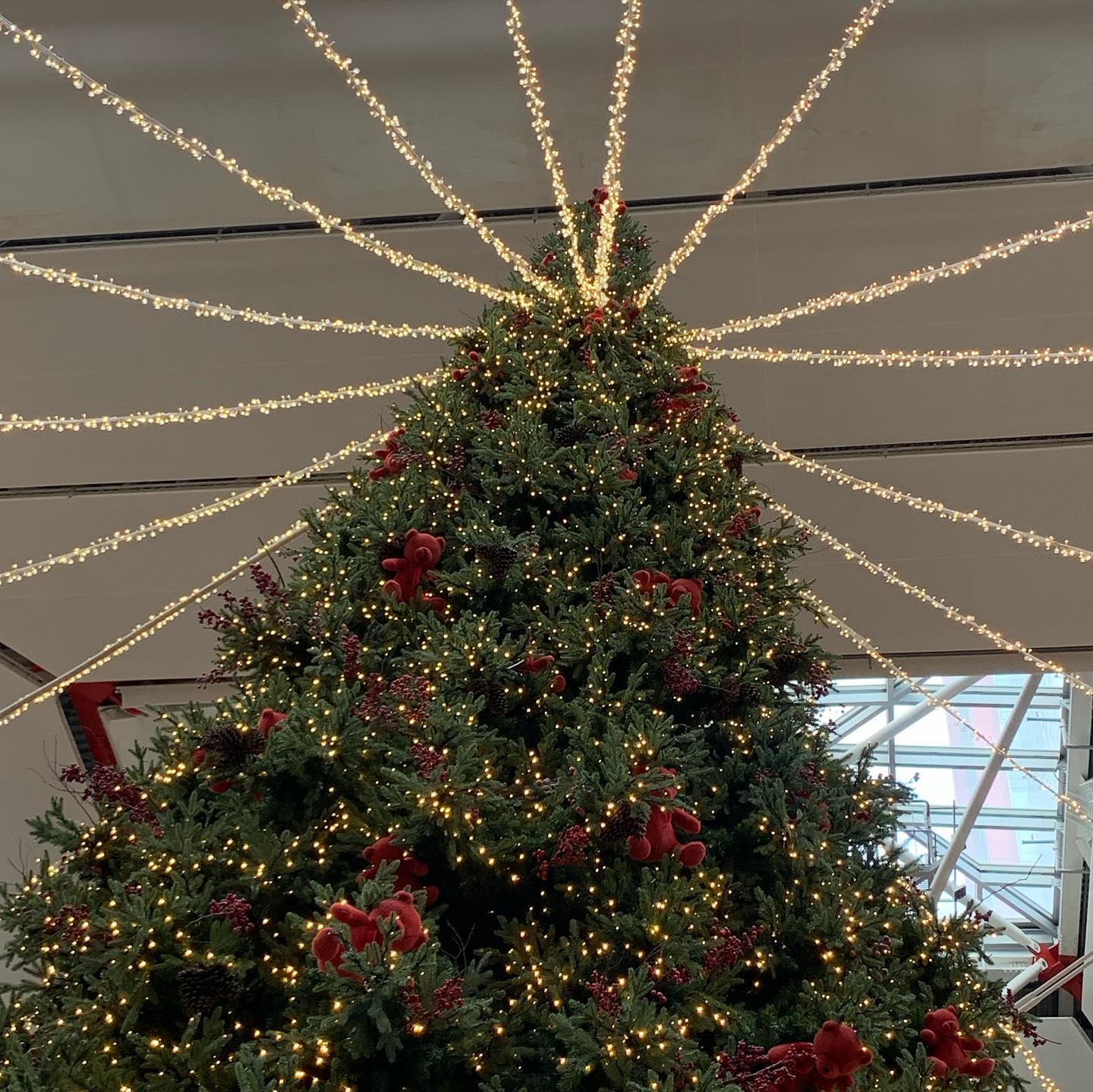 Christmas🎄잔뜩 기대 중🤍