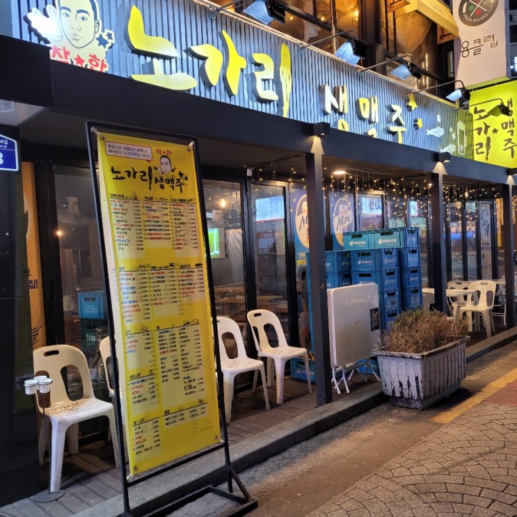 [성신여대 맥주집 추천, 착한 노가리 생맥주, 성신여대 술집 🍺]