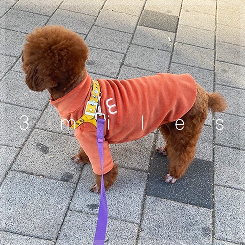 강아지겨울옷 퀄리티가 남다른 3마일즈