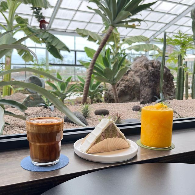 제주살이 10년차 제주도민 ◡̈⋆* on Instagram: "오랜만에 멀리까지 다녀왔어요 ◡̎
특이하게 바나나 나무가 카페 안에 있었는데
바나나우유케잌이 디저트로 있는
식물원카페에요🍌🌴
⠀⠀⠀⠀⠀⠀⠀⠀⠀⠀⠀⠀⠀⠀⠀⠀⠀
바나나케잌 먹어보고 싶었는데
너무 하얗고 깔끔하게만 생겨서
트리처럼 생긴 녹차케이크와 음료를 먹었는데
너무 맛있고 예쁘고 (비싸고😅) !!
⠀⠀⠀⠀⠀⠀⠀⠀⠀⠀⠀⠀⠀⠀⠀⠀⠀
옆 온실에 지내는 고양이 세마리도
귀엽게 반겨주는 웨스트그라운드는
가격과 거리 빼고는 전부 100점 ᰔ
⠀⠀⠀⠀⠀⠀⠀⠀⠀⠀⠀⠀⠀⠀⠀⠀⠀
#웨스트그라운드 @westground_jeju 
⏰ 11:00 - 18:00 (라스트오더 17:30)
💌 한경면 신한로 183-16
📌 정기휴무 : 매주 화요일
⠀⠀⠀⠀⠀⠀⠀⠀⠀⠀⠀⠀⠀⠀⠀⠀"
