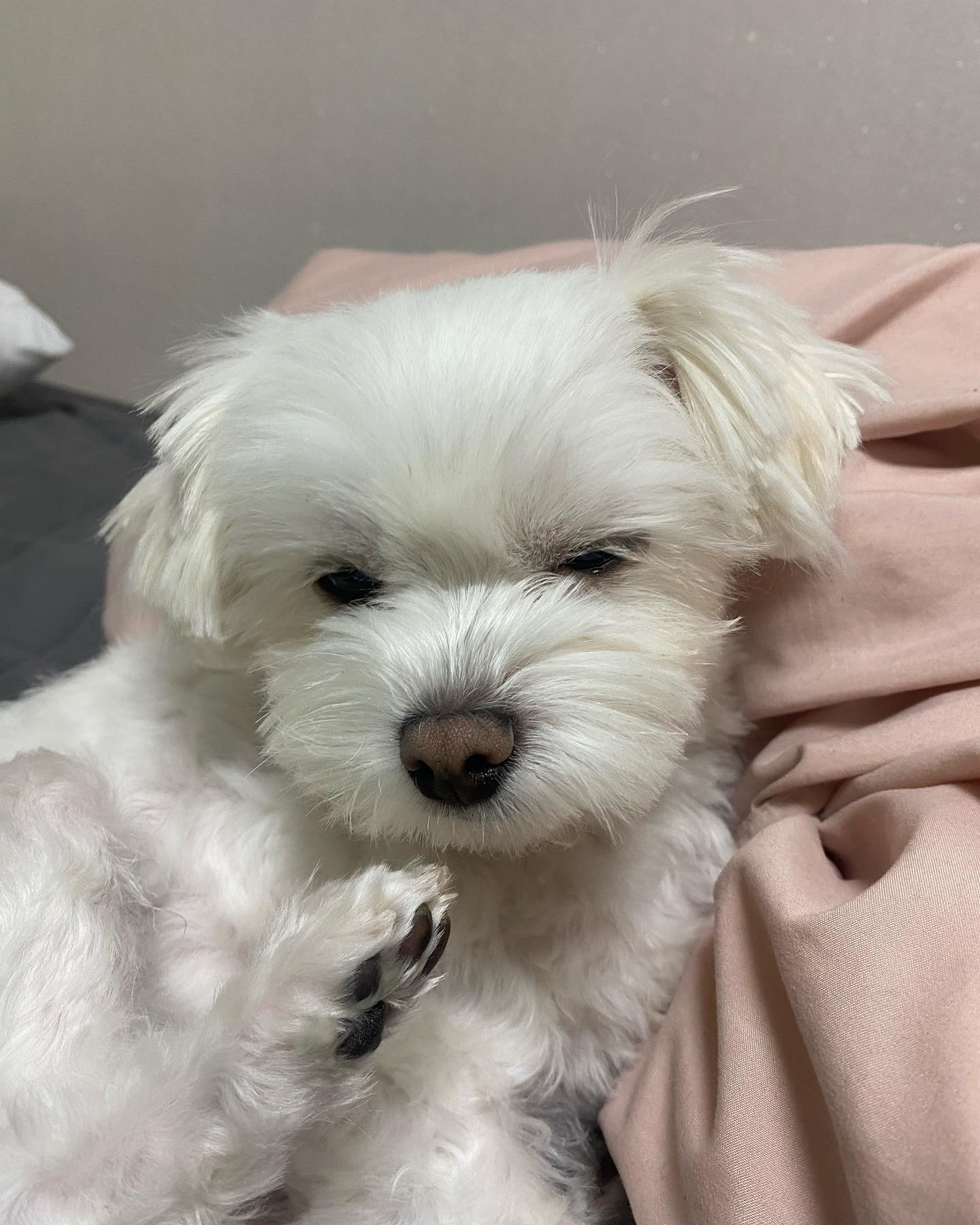 콘텐츠