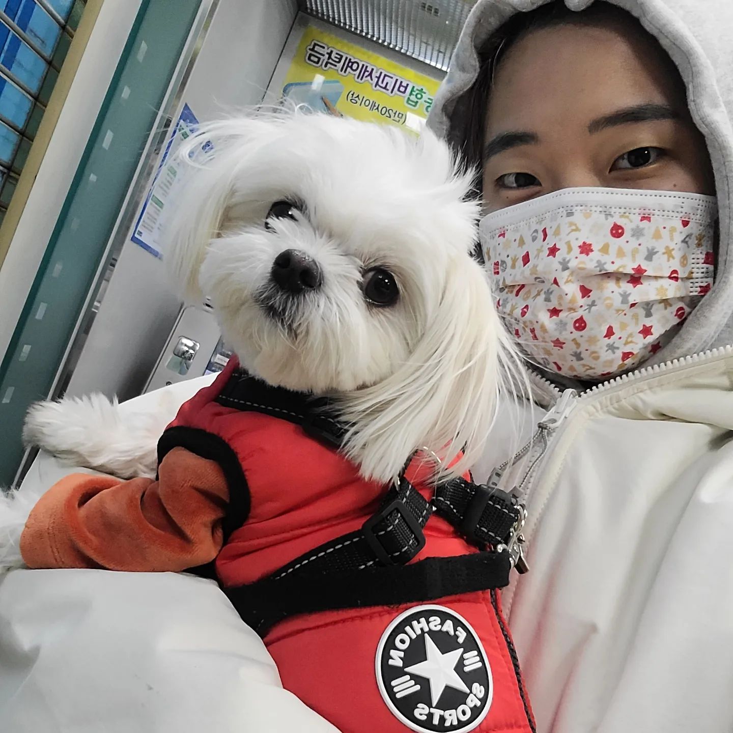 코로나...😢
울 엉니야가 새해 첫날 코로나에 걸러떠😭
슈퍼면역자인줄알았는뎨 강퇴당했대😵‍💫
구래서 칭구들한테 새해인사도 못하고 답댓도 밀려버려따ㅜㅜ😭

둥이능 지굼 언니 친구네에 와있는뎨 산책을 세번이나 해쥬신다😍 쨩죠아🤩

새해인사 많이 모태서 미앙해 칭구들!!👋
엉니 나으면 다시 돌아오께❤️‍🔥

#코로나 #걸리지마세요 #힘들어요
#1월1일 #새해첫날부터 #확진이라니
#액뗌했다치자 #다들아프지말기 #🤙