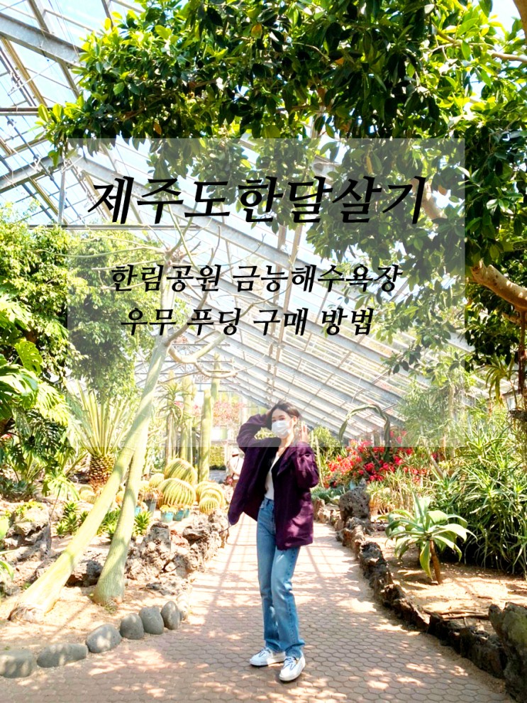 제주도 한 달 살기 6일째 한림공원, 금능해수욕장, 우무 푸딩