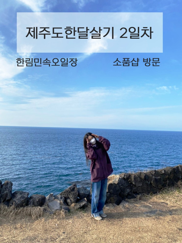 제주도 한달살기 2일차 (한림민속오일장,팰롱팰롱빛나는,애월해안도로)