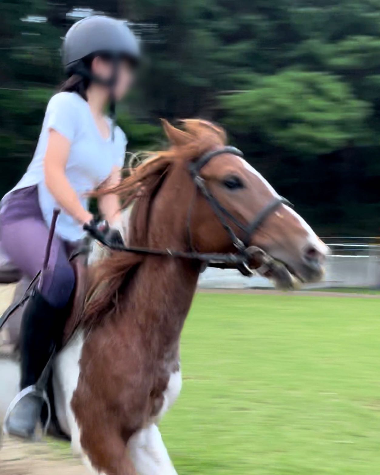 🐎
