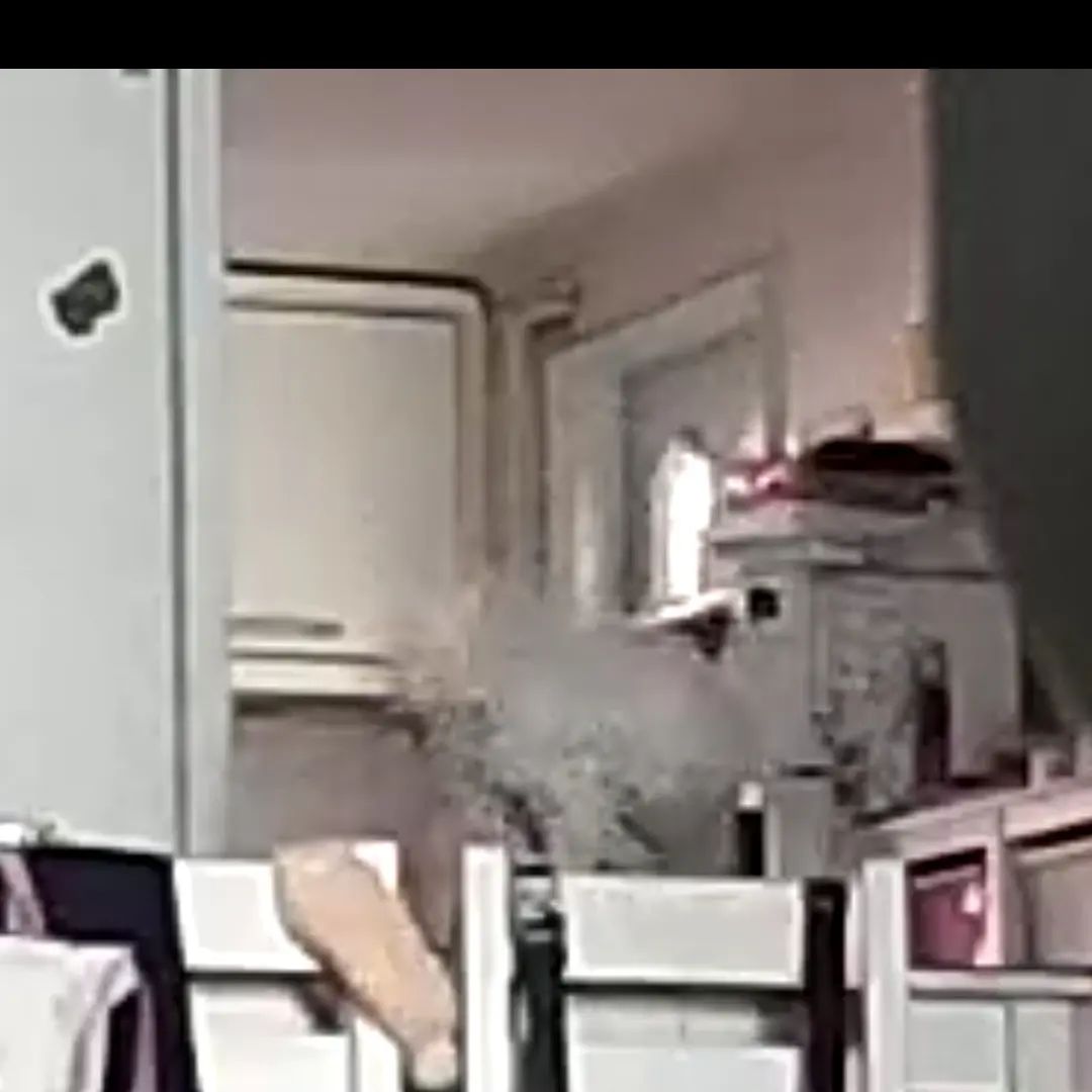 너무나도 당당히 식탁위에 앉아 있어서 캡쳐 하려는 순간 내려가는 망고!!! 분리불안 우짜면 좋을까
--------------------------------------
#망고 #미니 #비숑 #비숑프리제 #비숑스타그램  #모델견 #비숑모델
#ビションフリーゼ
#bichonfrise #minibichon #bichonfrisé
#망고 #미니 #비숑 #비숑프리제 #비숑스타그램 
#ビション・フリーゼ
#bichonfrise #minibichon #bichonfrisé