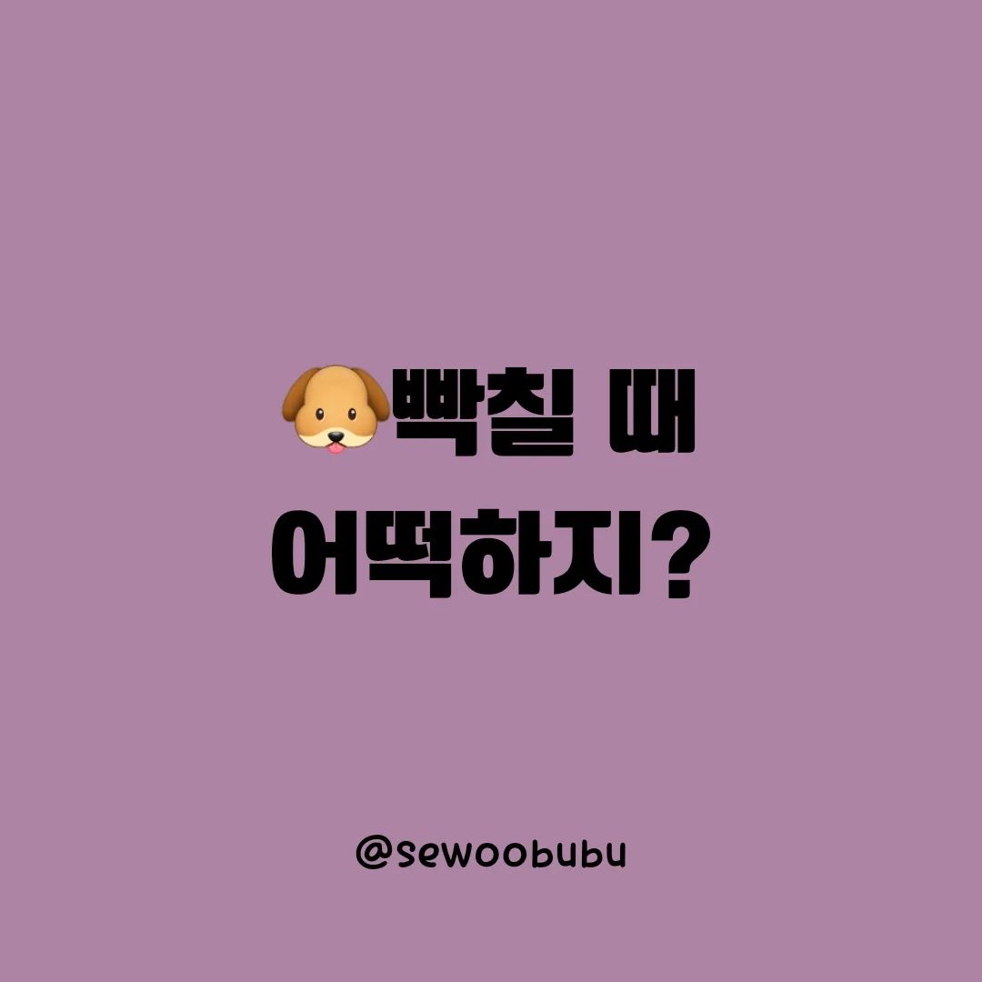 🐶😬

오늘은 제가 열받아서 만든
나를 위한 카드입니다..🥲
아침부터 스트레스가 쌓이더니
머리끝까지 차서 역치를 넘었어요.
그래도 중요한건 나를 버리지 않는 마음❣️

#개빡칠때 #스트레스해소법 #스트레스풀기 #스트레스관리 #빡침 #정신건강 #마음보기 #신혼일기 #신혼맞팔 #신혼일상 #신혼쀼 #신혼소통 #신혼부부소통 #신혼부부일상 #신혼생활