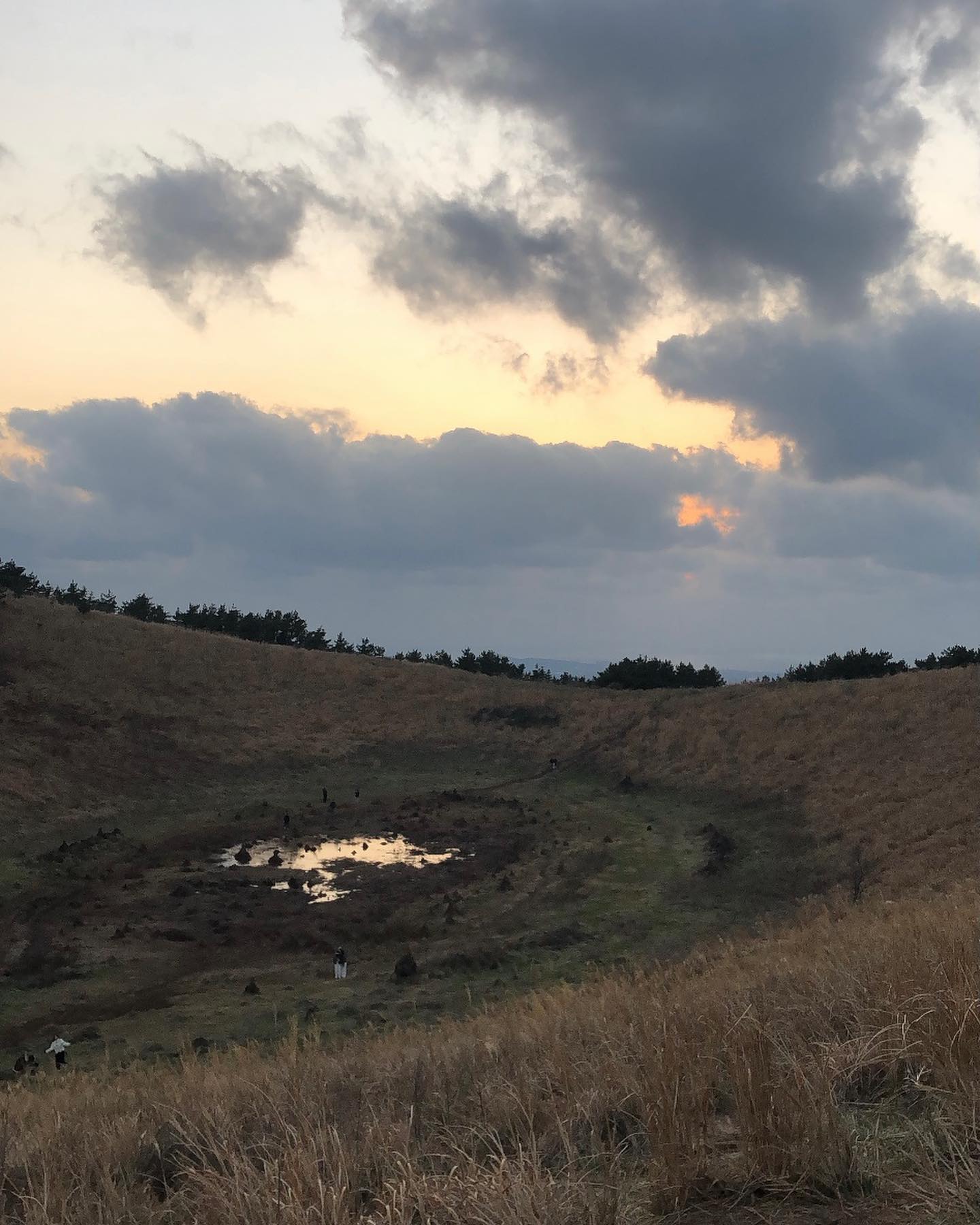 산따라 물따라 ••