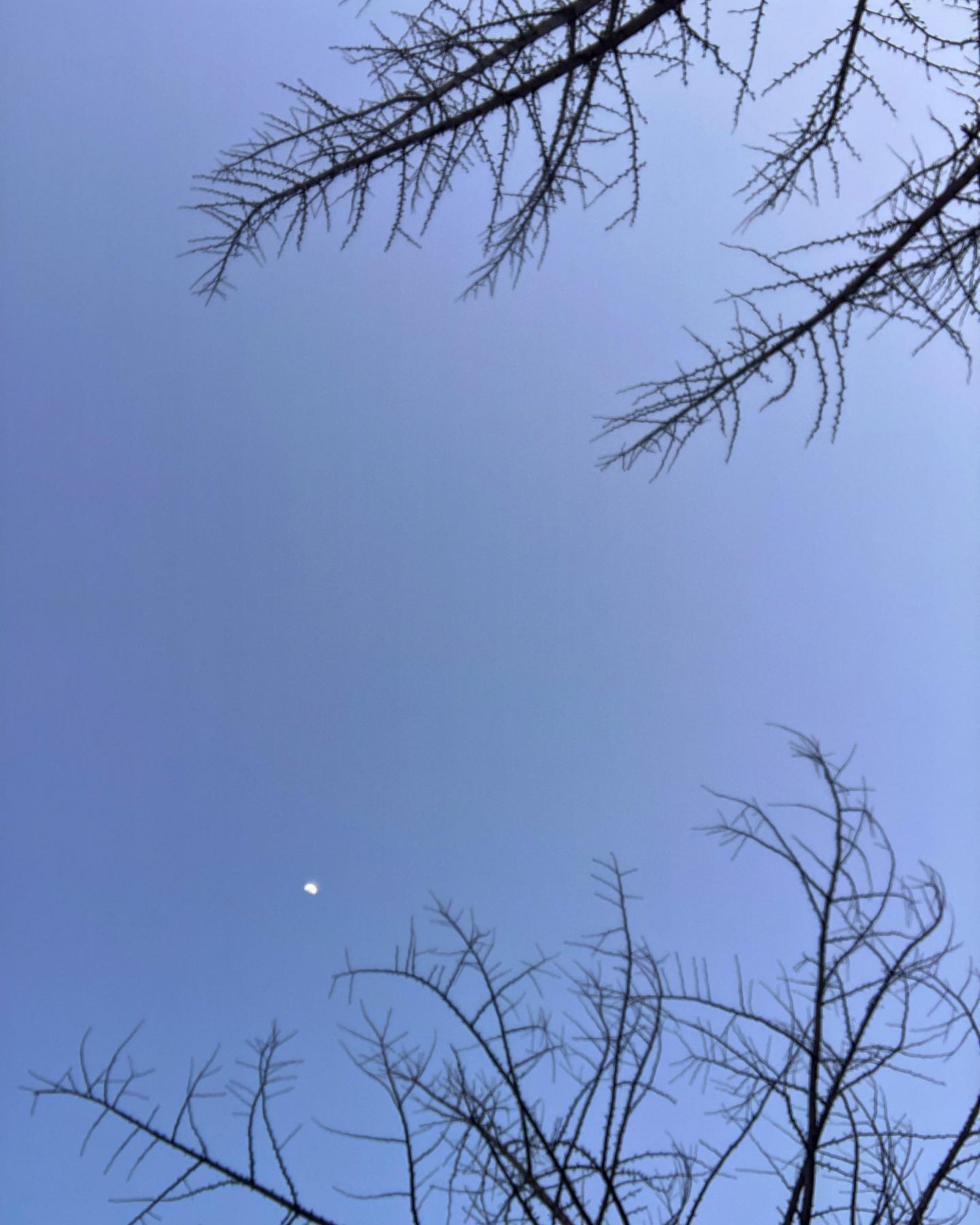 감을 잃었다.