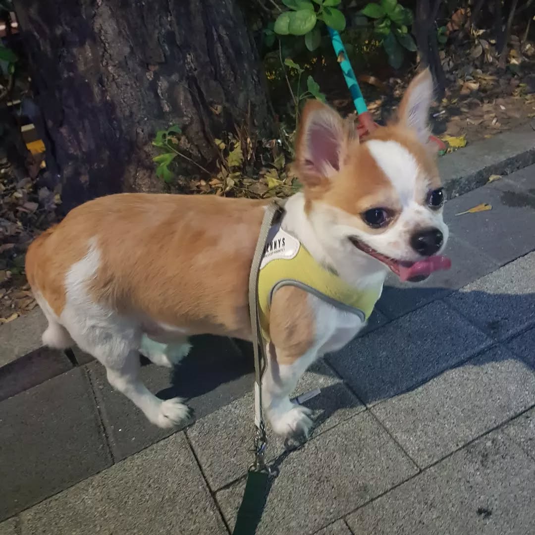 셋.