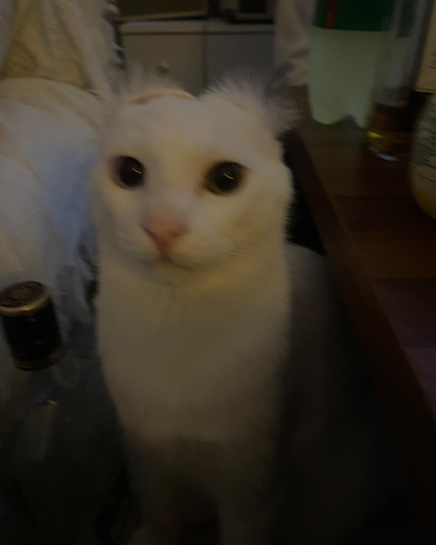 ㄱㅇㅇ