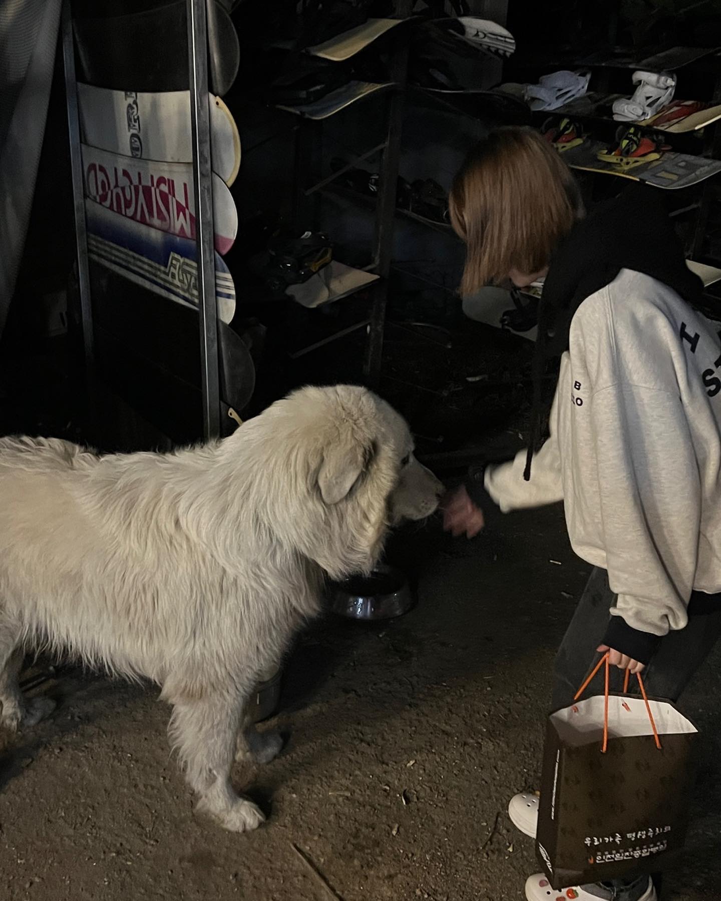 애기야.. 사장님은 복귀 하셨니..
실종신고한지 벌써 이틀짼데
경찰서에서는 소식이 없네...