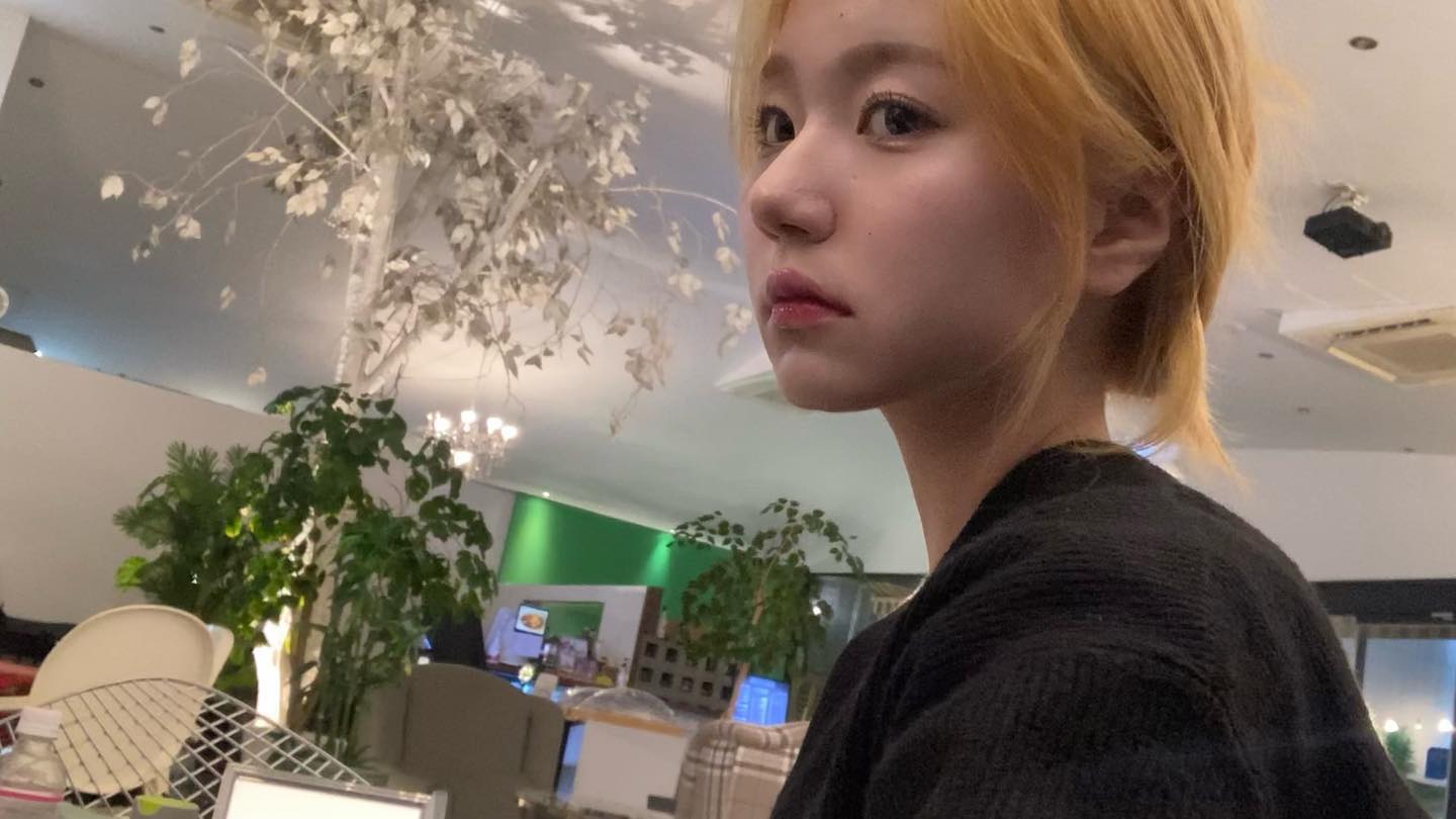 콘텐츠