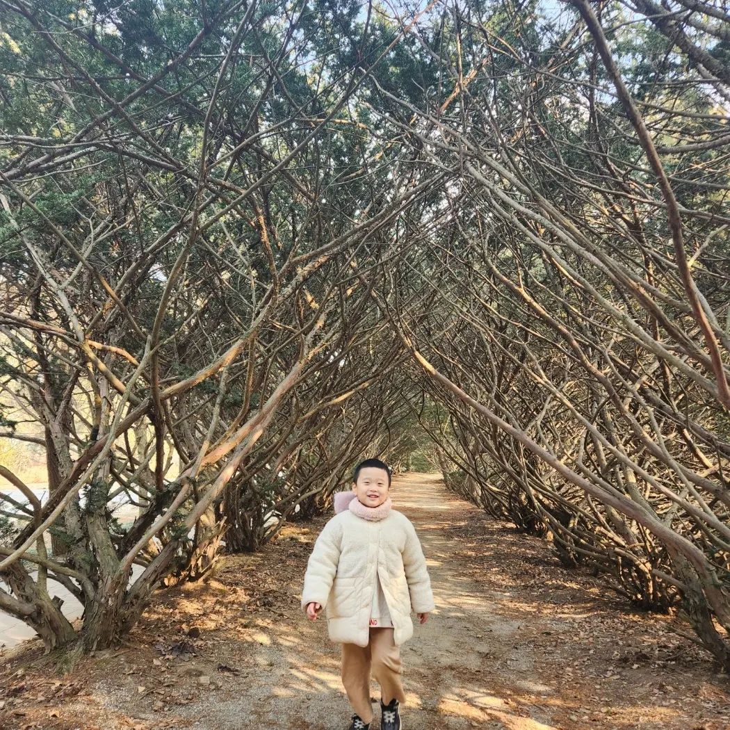 겨울의 끝자락 
벽초지수목원 공사중.....
봄되면 다시 가야지
#겨울나들이 #연간회원 #벽초지수목원 #파주
