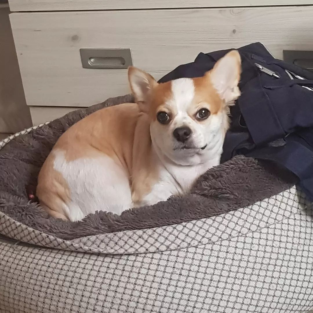 십삼.