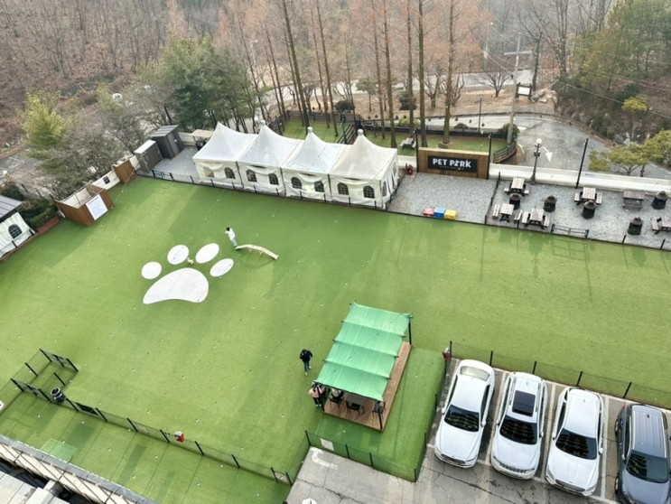 충주 켄싱턴리조트 프리미어 펫룸 | 금액,부대시설,운동장 후기 | 애견&아동 동반 단체 여행 숙소추천