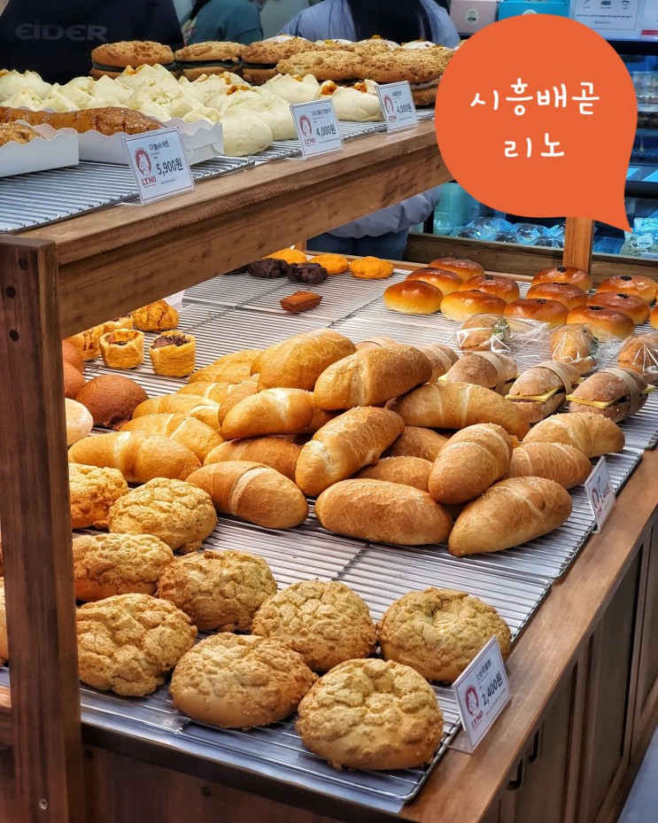 배곧 신상 빵집 베이커리 리노 (소금빵 대존맛)