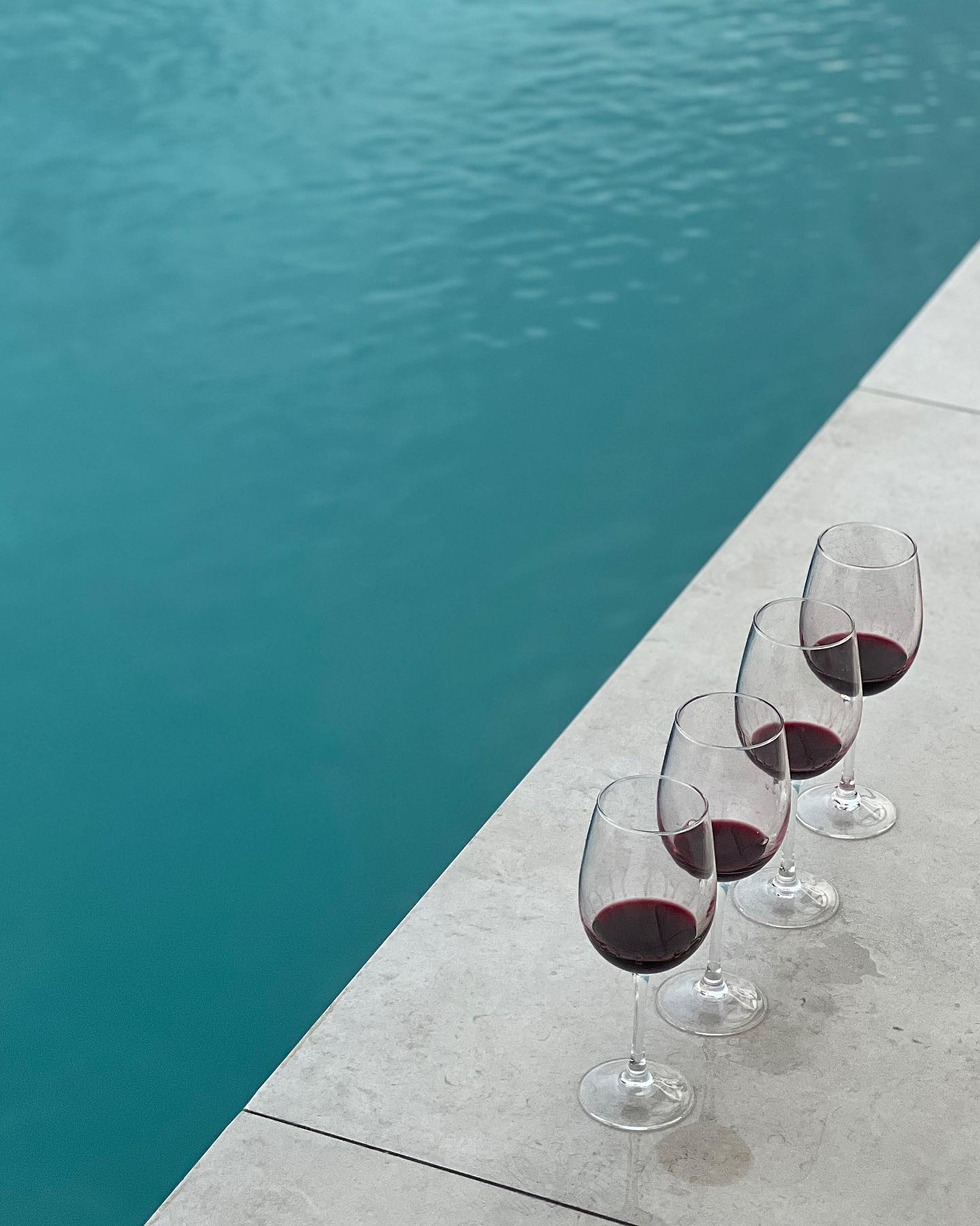 최애 와인으로 즐거웠던 여행 🍷🌉
