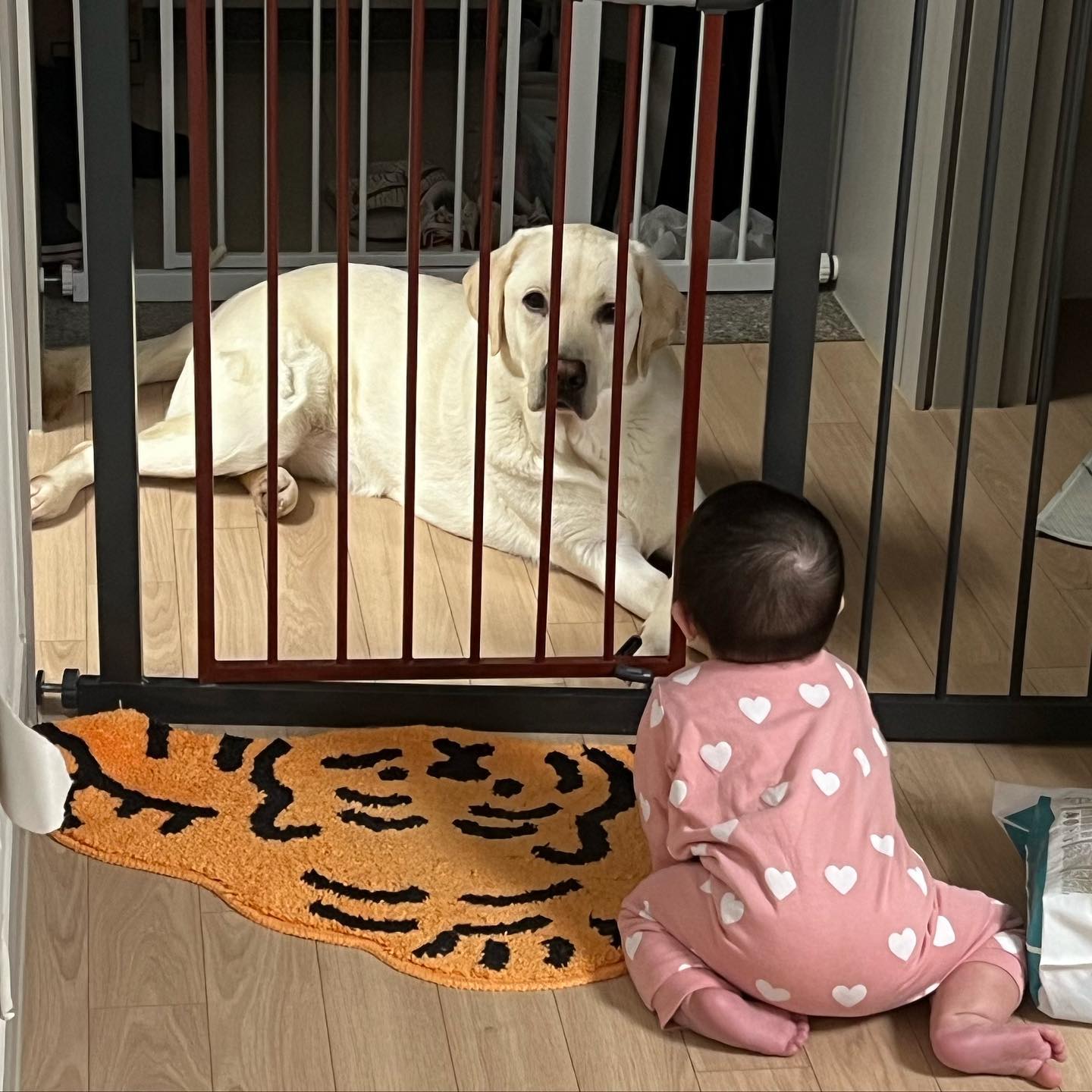 👶🏻🐶

👶🏻: 마루오빠 놀자
🐶: ? ? ?
👶🏻: 문 열어봐바 
🐶: . . . 
👶🏻: 이거 열어줘 열려있어 밀면 되는데
🐶: ㅋㅎ

#귀여운녀석들 #❤️
#귀여운애옆에_귀여운애