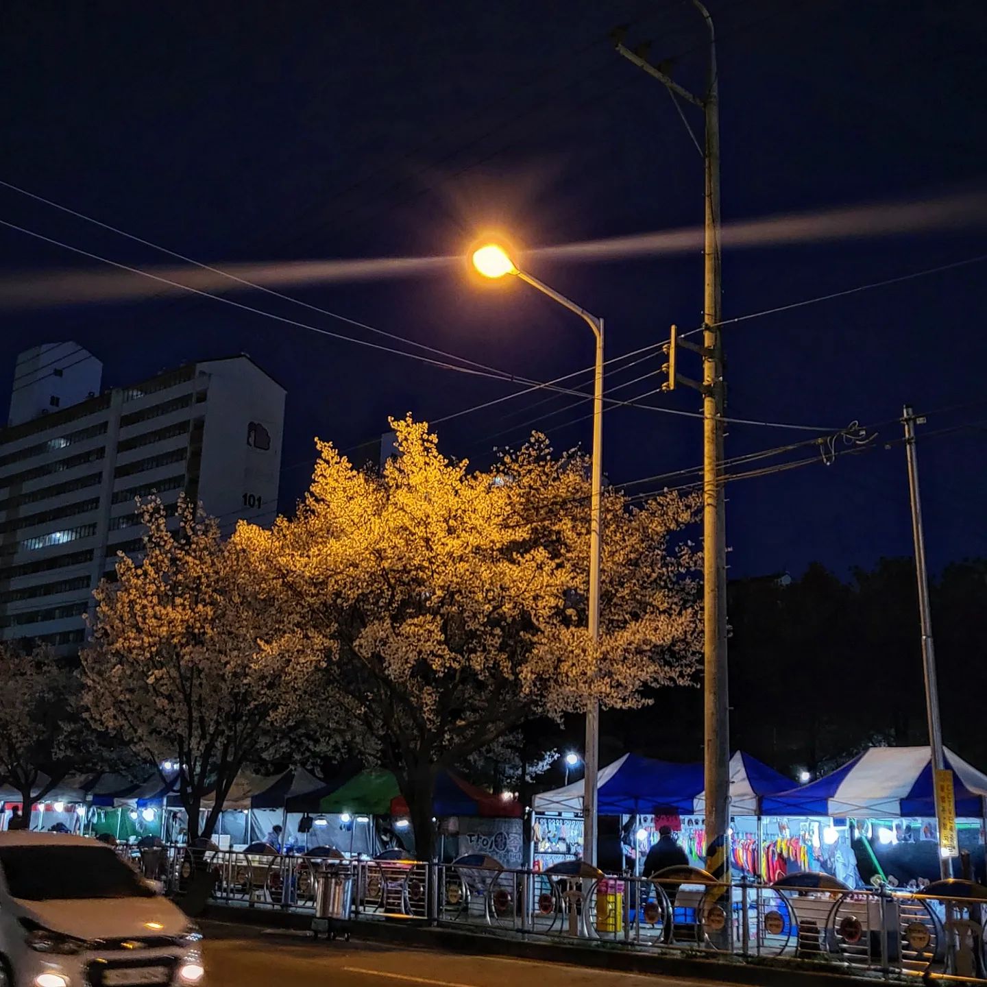 그냥 봄이구만 아직 저녁엔 좀 춥지만
🤭