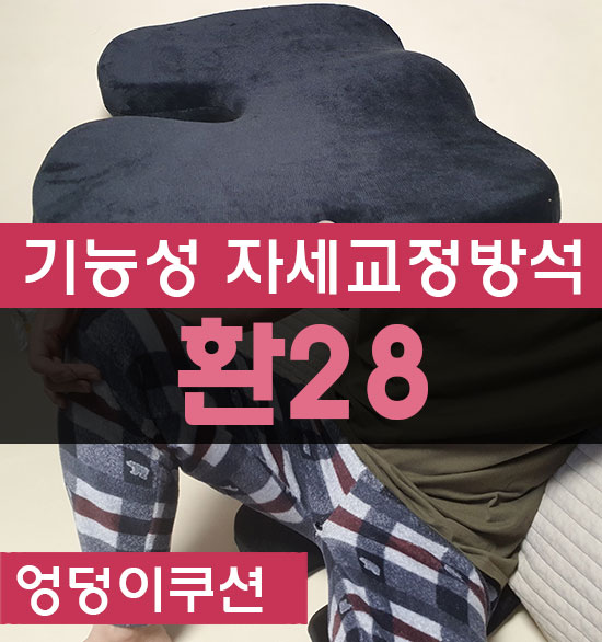 자세교정방석 직장인 40대남성 엉덩이쿠션 환28