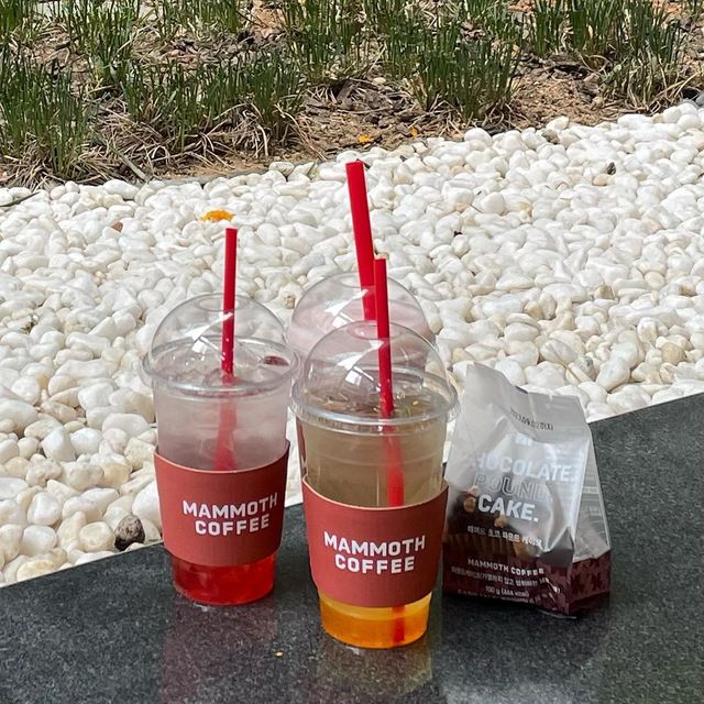민밍 on Instagram: "#광고 #매머드커피 @mmthcoffee 제가 즐겨가는 카페인 매머드커피에서 3월 봄 신메뉴가 나와서 먹어 봤어용☺️ 납작 복숭아 요거트 스무디는 달콤한 복숭아와 꾸덕한 요거트