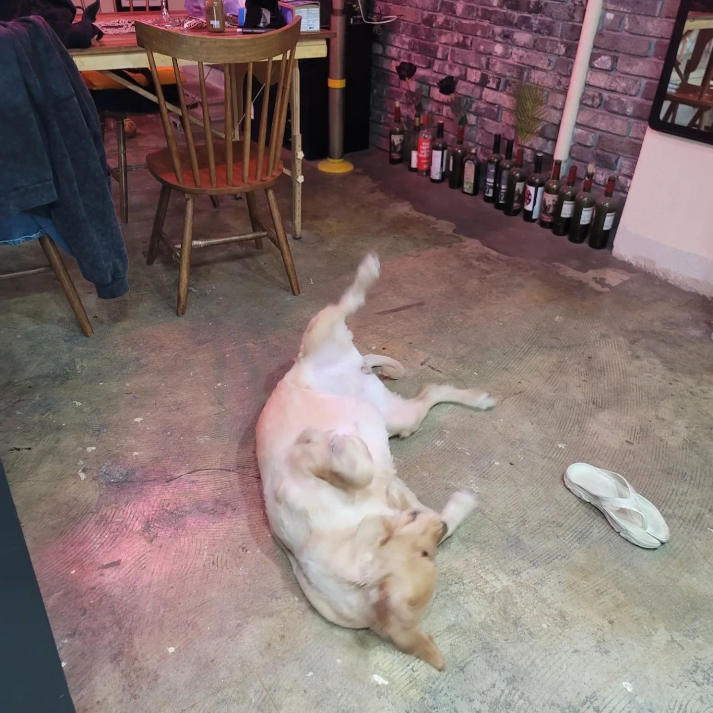 오장동 206-37 3층에 위치한 
#justink #타투샵

위생 철저 깔끔하고 고급져요!
잘생긴 작업자분도 보고ㅋㅋ❤️
#인생타투 하고싶으면 여기루😂😂😂