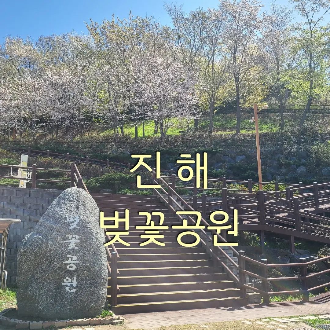 #진해 #진해벚꽃 #벚꽃공원 #진해_벚꽃공원
#전국방방곡곡 #구석구석 #안지향챌린지 
#여행스타그램 #기록스타그램 #진해벚꽃명소

진해 벚꽃공원~💕

위치 창원시 진해구 진해대로 1114번길 91-1

여기는 진해 사람들은 다 안다는 
숨은 벚꽃명소에요 

군항제로 진해에 많은 사람들이 방문하지만
여기는 한적하고 조용히 걷기좋은
벚꽃 만개한 공원이었어요~

어린이집 꼬마친구들도 소풍을 나와서
친구들 손 꼭 붙잡고 꽃과함께
사진찍느라 한창이네요

홍벚 색이 너무 이뻤던..
파란 하늘이
봄을 더욱 선명하게 해주니
꽃만 바라봐도 행복한 하루입니다 ^^