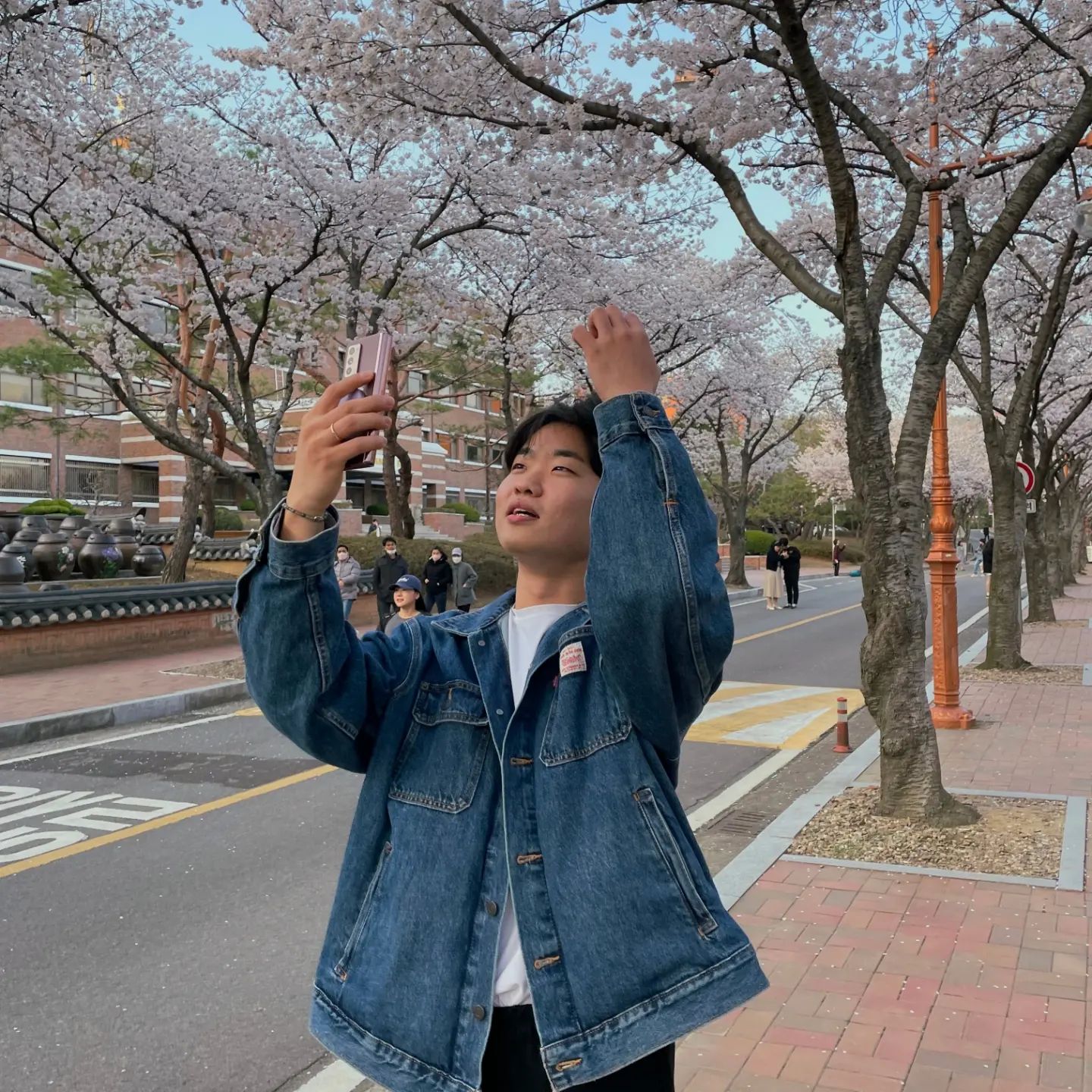 🌸
귀에 꽃 꽂을껄
.
.
.
#미친놈