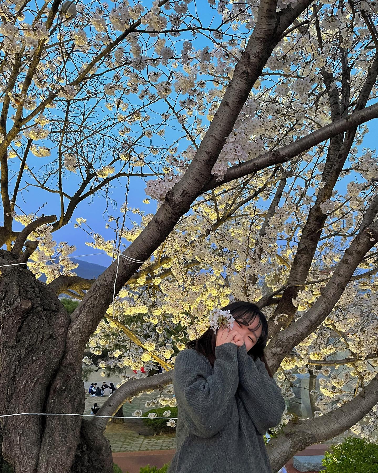 나 신나뜡 🌸
