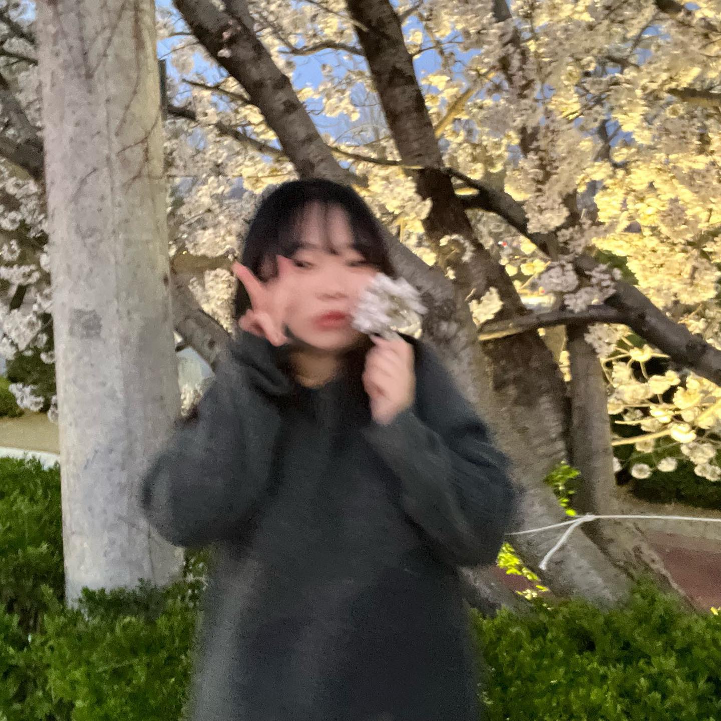 🍃