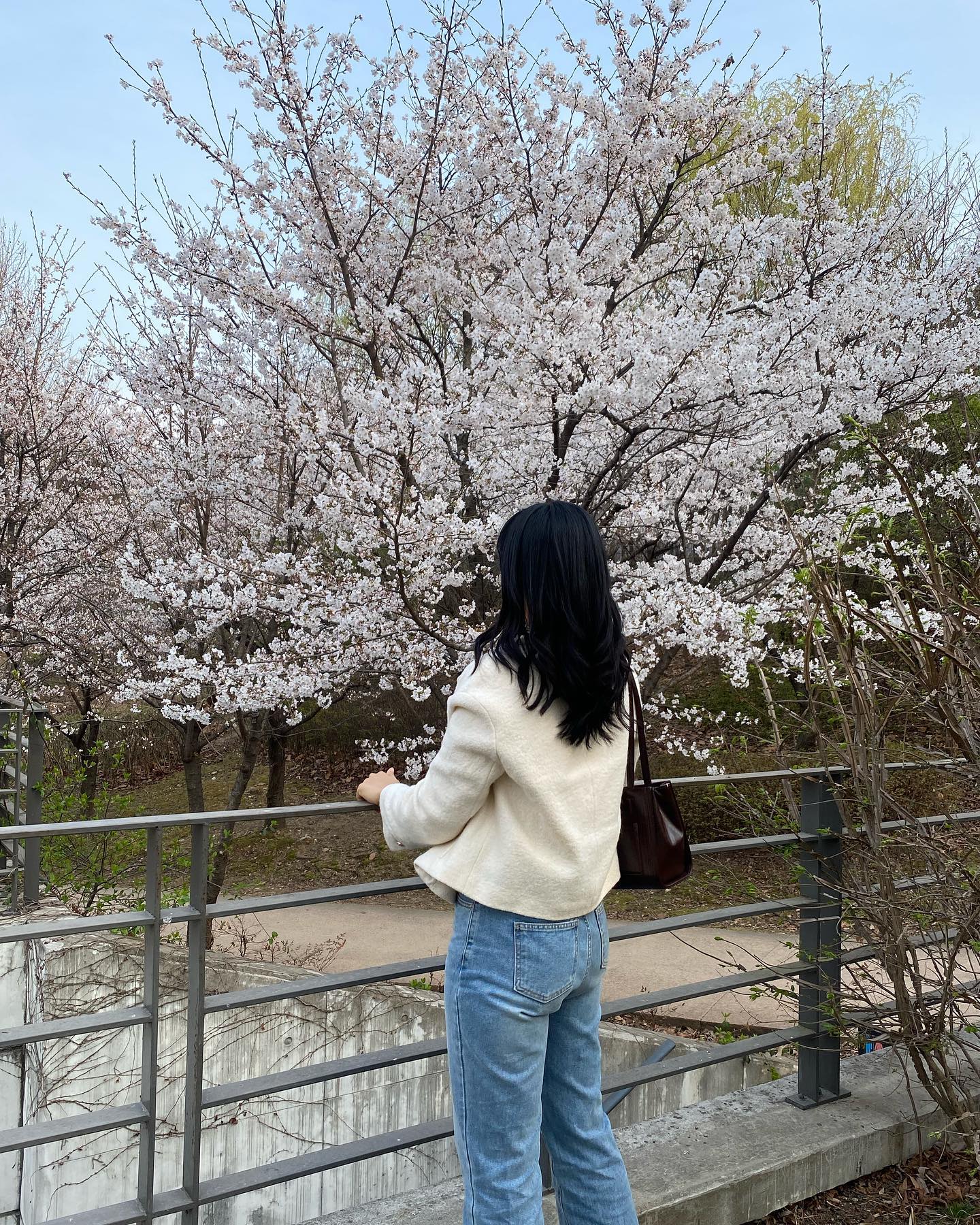 무계획 벚꽃나들이🌸 넘 신났넹😆

-

#서울숲 #벚꽃구경 #도비탈출을꿈꾸며