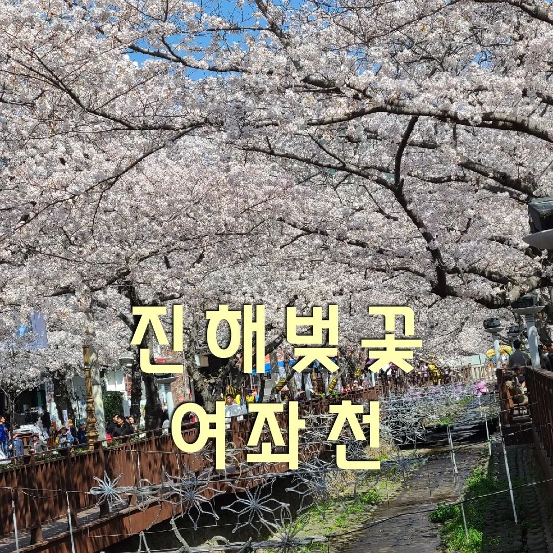 #진해벚꽃 #진해_여좌천 #꼭가봐야하는
#진해벚꽃명소 #여좌천 #벚꽃이예쁜 
#안지향챌린지 #여행스타그램 #구석구석 
#전국방방곡곡 #사람많음주의 #대중교통이용

진해에는 벚꽃명소가 많이 있는데요
여기 여좌천은 그중에 으뜸이라고 할수있죠
저는 오늘 다시한번 되새겨봅니다

여좌천이 여좌천했다..고요~~ 💕
진짜 와~~~ 미쳤습니다
너무 예뻐서 사진을 안찍을수 없다는 ^^

어르신들도 머리에 벚꽃 머리띠도 두르시고 
창원의 마스코트들도 나와 
함께 춤추고 사진도 찍어주더라구요~😆

진해는 지금 어디든 가는 곳마다
벚꽃이 만발하여
도시 전체가 벚꽃명소 입니다 🤩❤️