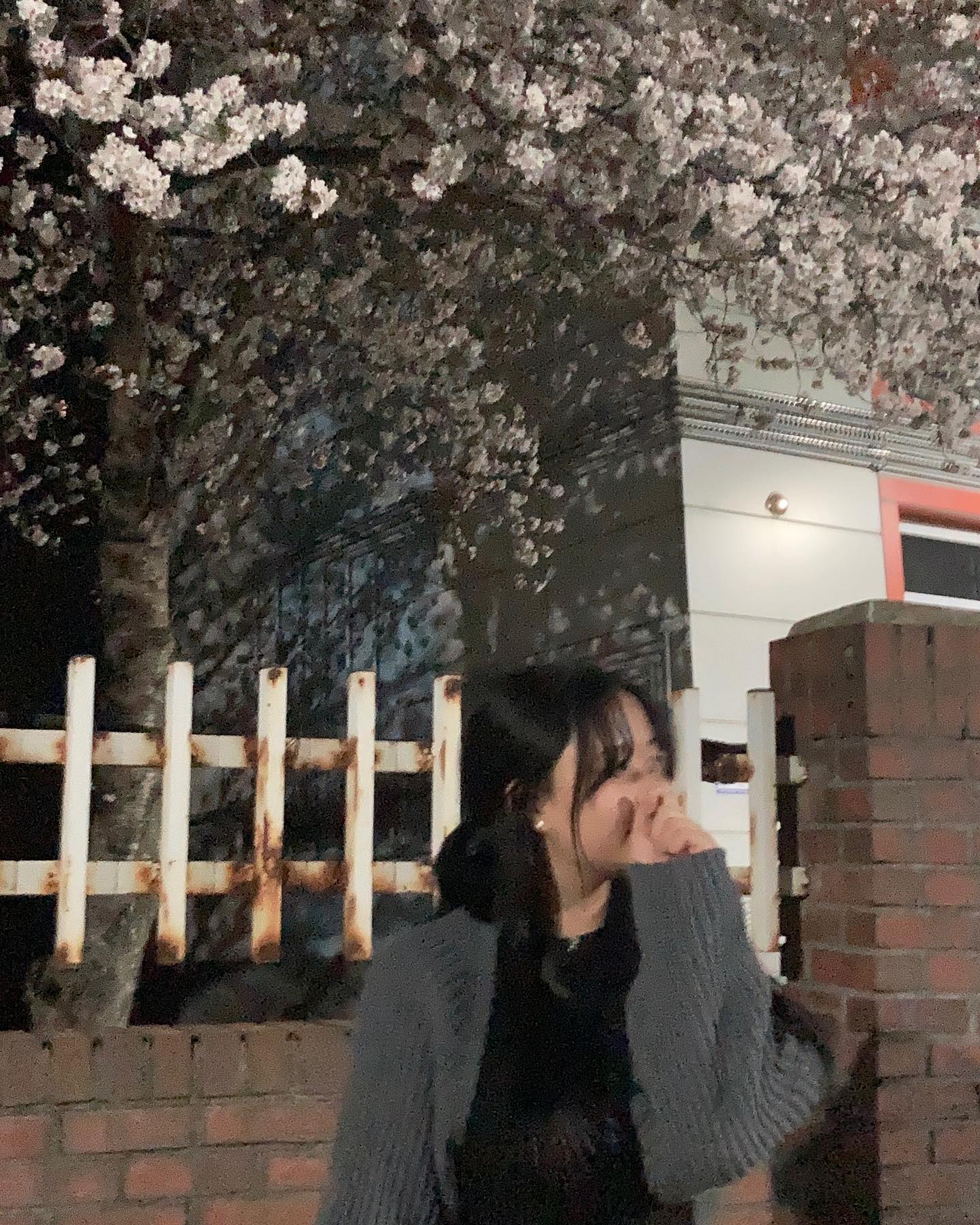 콘텐츠