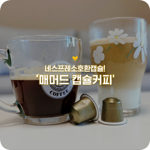 캡슐커피추천 :: 매머드 네스프레소호환 캡슐커피