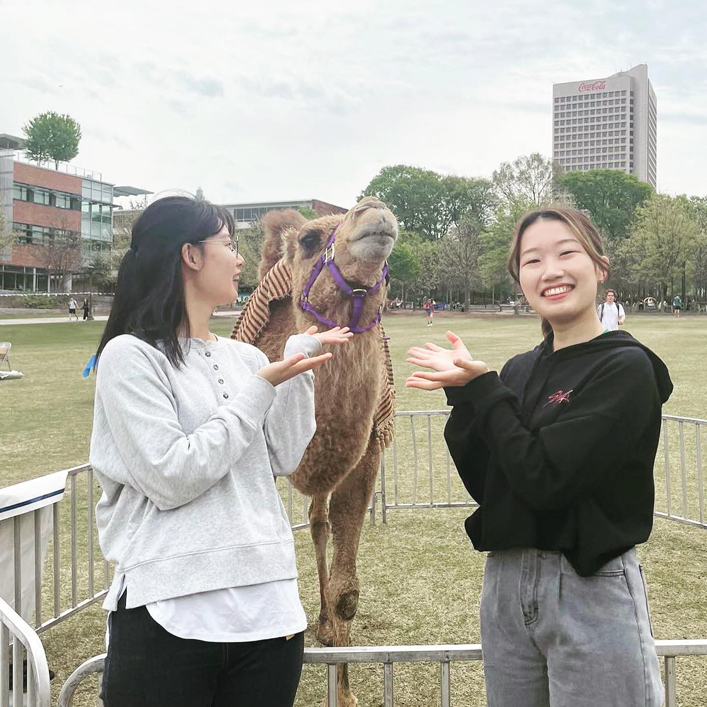 공대생들 가득한 곳에 낙타의 등장이라….. 재밌어지겠네..