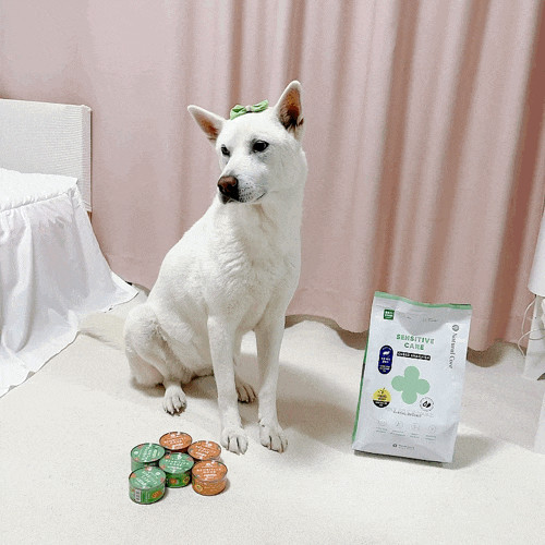 강아지 눈물사료 알러지 가수분해 더블체크해봄