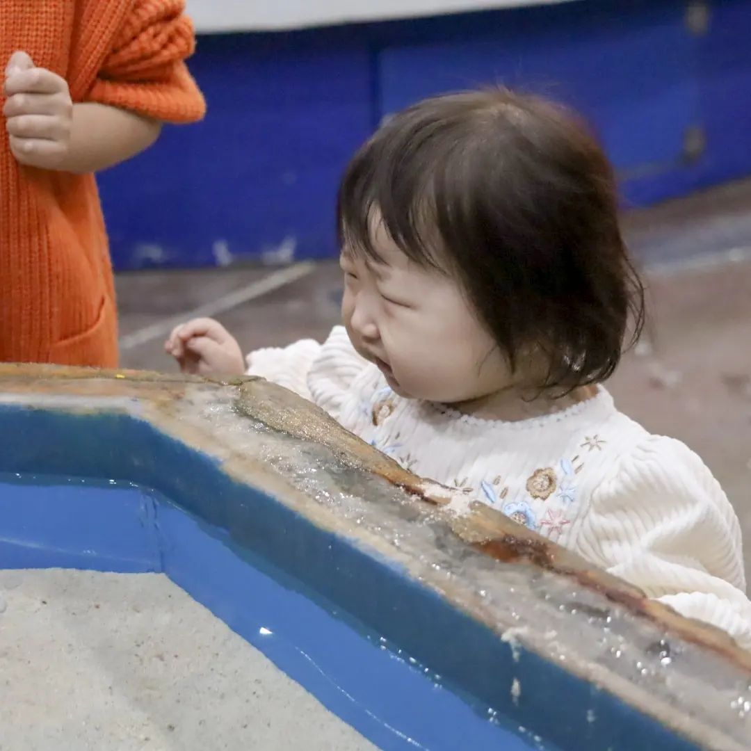 🤍𝓢𝓸𝔂𝓸𝓸𝓷🤍

부천 플레이아쿠아리움
주말에 자조모임으로 물고기 보고왔지요🐠

소윤이가 엄청 걷고 싶어하지만
마이웨이라 계속 안고 구경했네요
실내 동물원은.. 참 동물이 불쌍하다
생각이들 정도로 엉망이였지요..

소윤이와 같이 찍어본 가족사진
매번 따로 찍었는데
이렇게 나마 추억을 만들어 줘야겠어요

#부천아쿠아리움 
#아기랑주말일상