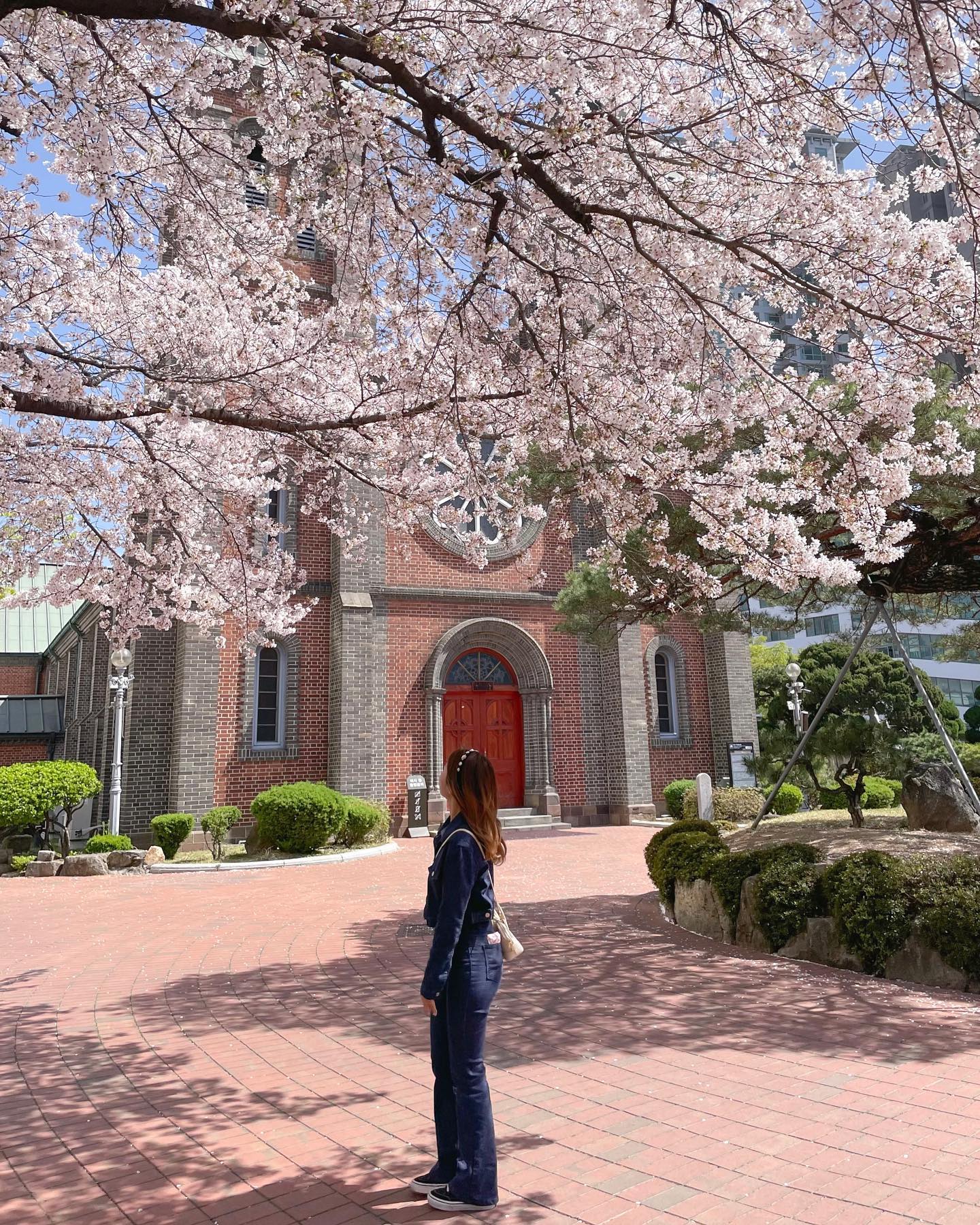 230327🌸

📍계산성당

나 아직 벚꽃계절에 사는데 시간 왜이렇게 빨라〰️

#대구여행 #대구여행추천 #대구계산성당 #계산성당 #대구벚꽃명소