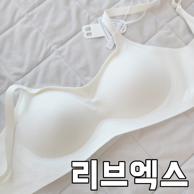 새가슴브라 리브엑스 올인원브라