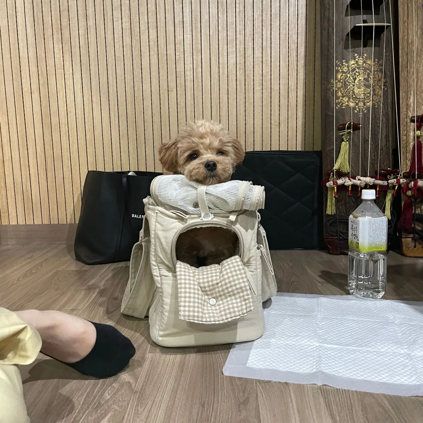 ⏱️
반성해라 인간
열띠미 인스타 관리하란 말이얏!!!!!

현생이 너무 바빠서 소홀했는데
룽지 안 보여주면 유죄라는 말이 많아
다시 시작해보겠숩니댜,,,🤍