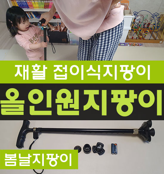 할아버지 지팡이 추천 봄날올인원지팡이
