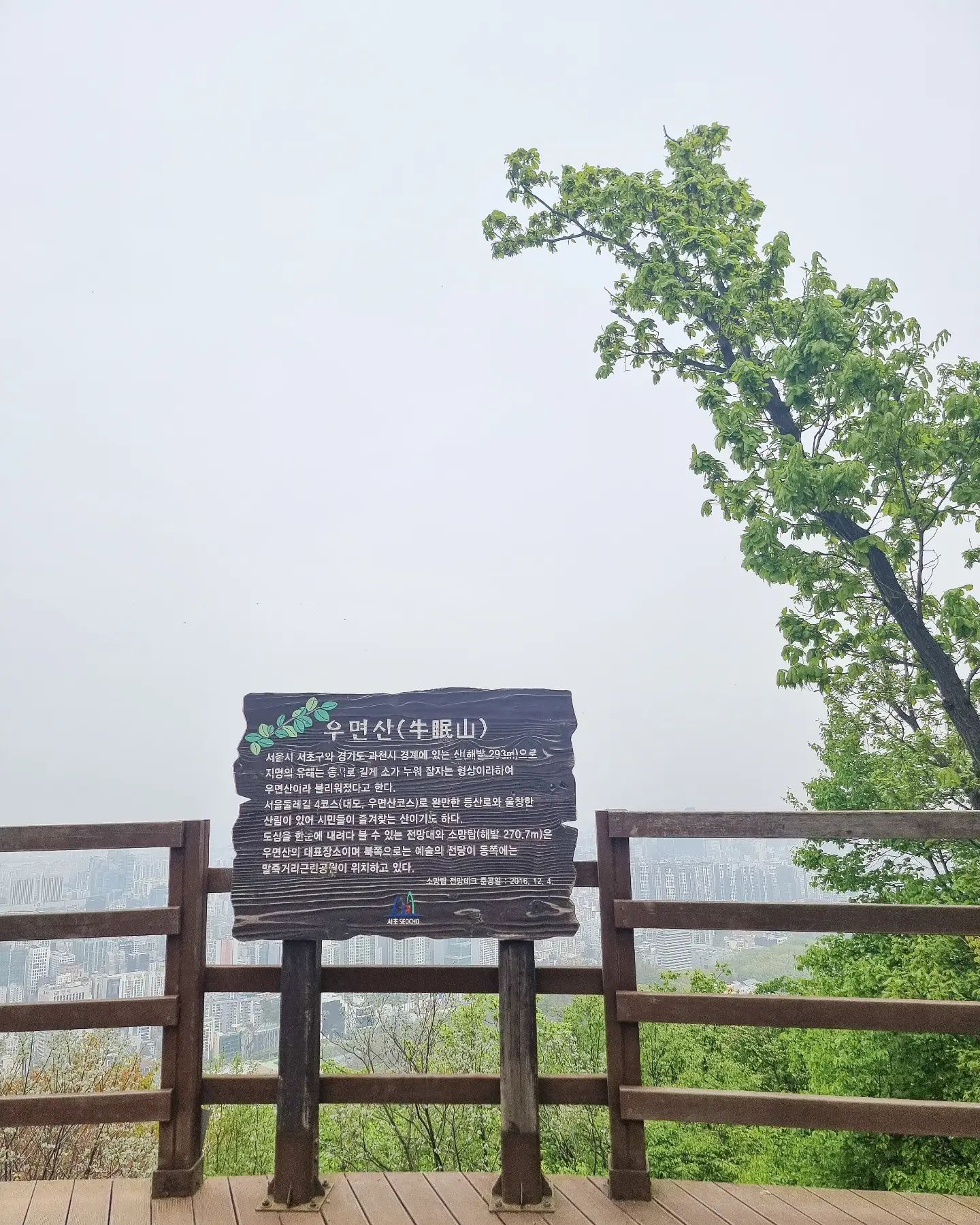 ⛰️ 두 번째 등산은 우면산!

#우리의주말은 
#우리의주말은_등산 
#우면산 #소망탑