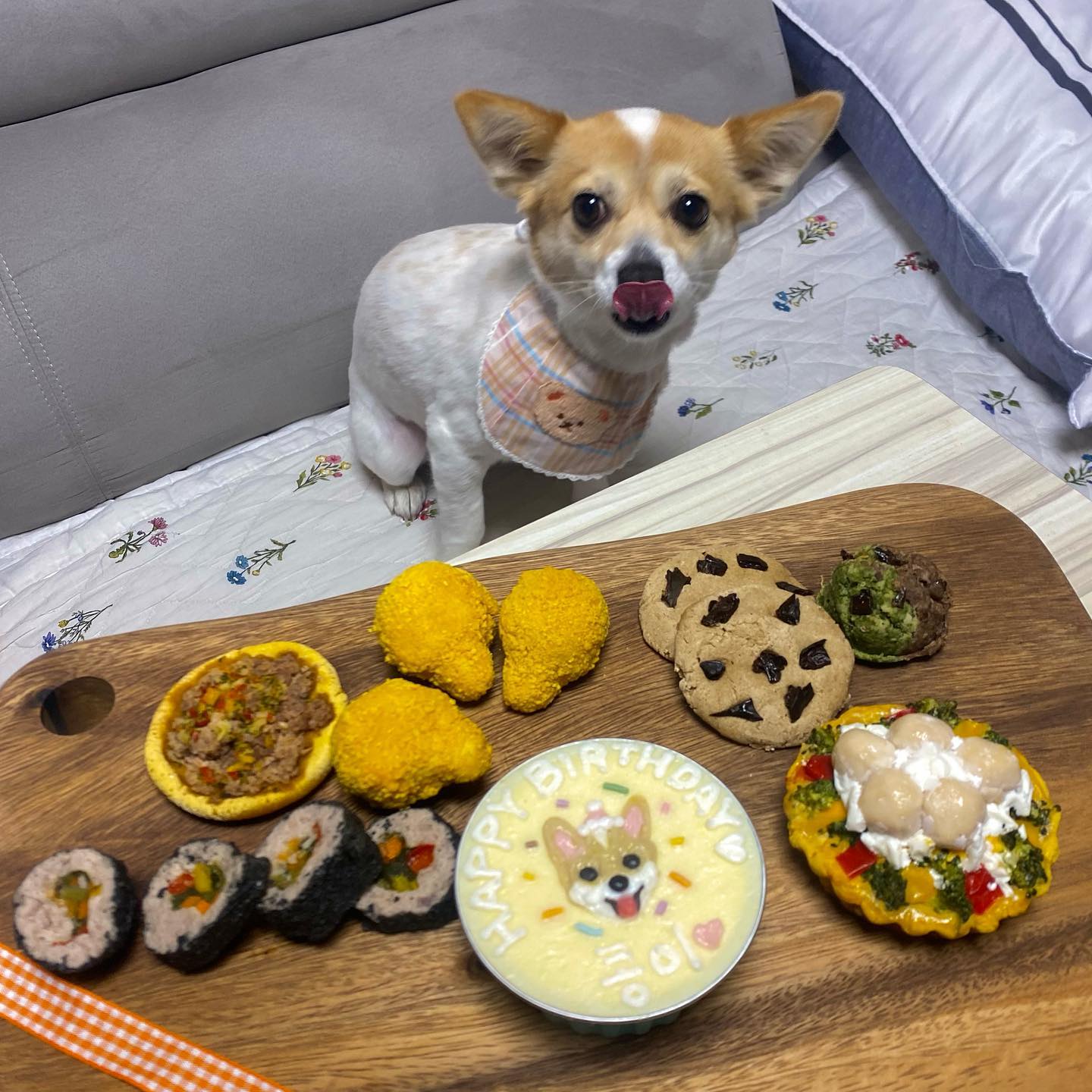 사랑아,콩이해🫶💗 #콩이 #생일 #0402
-
콩아 백번이고 천번이고 생일 챙겨줄게,,
지금처럼 계속 건강하게 언니 옆에 있어주라🙂❤️
.
.
#강아지수제간식 #강아지생일상 #강아지생일 #강아지생일파티 #콩스타그램 #🐶 #반려견 #가족 #사지말고입양하세요 #멍스타그램 #댕댕이 #시고르자브종 #반려견그램 #반려견스타그램 #멍멍이그램 #댕댕이그램 #댕스타그램 #펫스타그램 #petstagram #dogstagram #pet #family #instadog #강아지 #강아지그램  #포인핸드 #강아지케이크