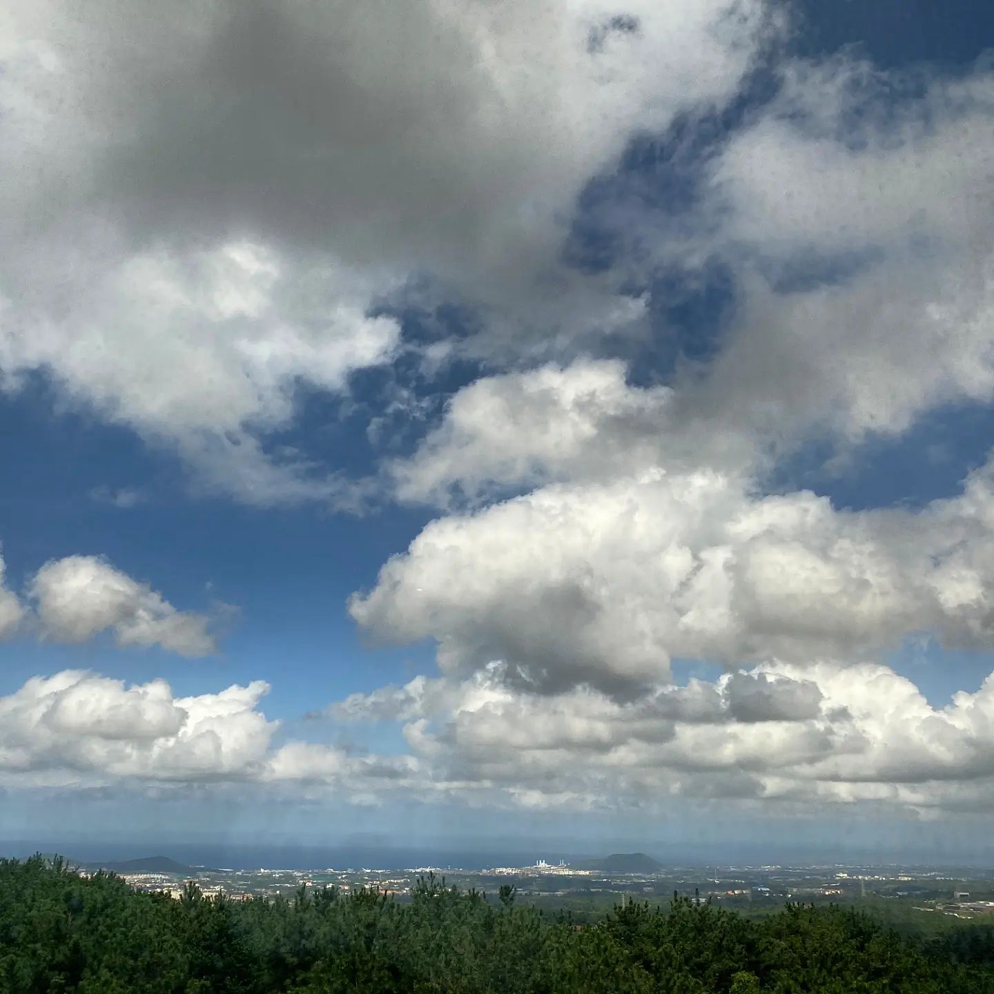 ⋆｡˚ ☁︎ ˚｡⋆｡