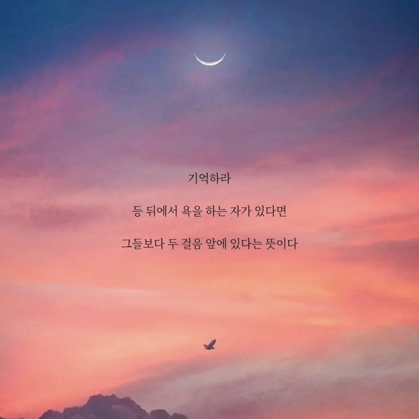 콘텐츠